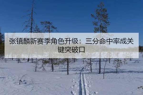 zhang-zhen-lin-xin-sai-ji-jue-se-sheng-ji-san-fen-ming-zhong-lv-cheng-guan-jian-tu-po-kou-2-958.jpg